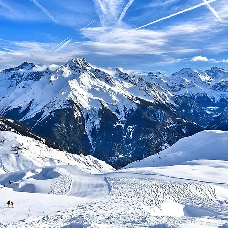 Chalet Alouette La Plagne
